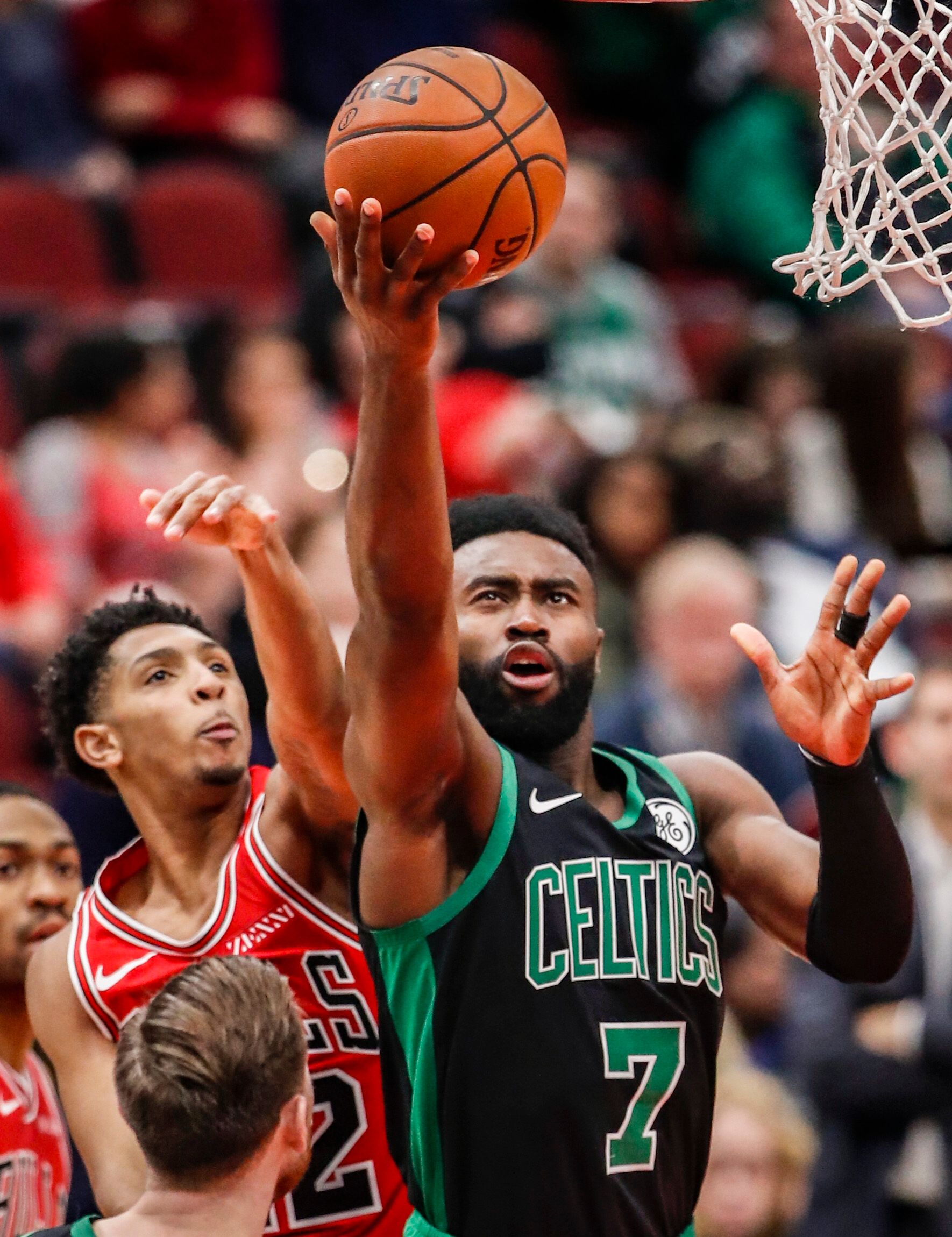 似乎也并不 似乎也并不